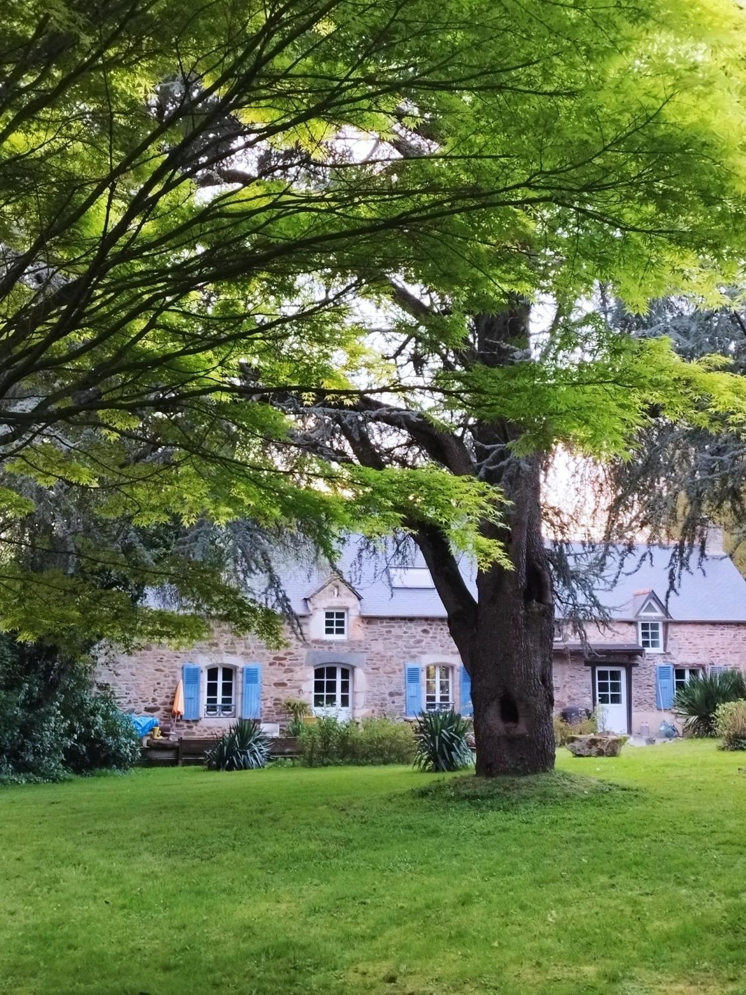 La Suite D'Anna Rohan Zewnętrze zdjęcie